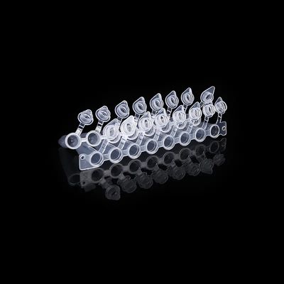 شراء قبعات على شكل قبة 0.2 مللي أنبوب PCR 8 شريط مع غطاء متصل PCR ثمانية أنابيب متصلة التصنيع عبر الإنترنت